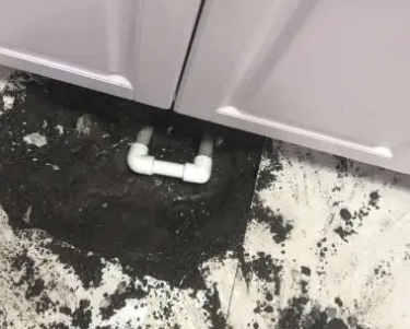 白沟县查漏水哪家好