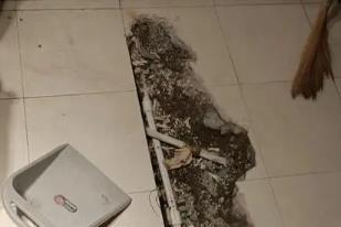 白沟县卫生间漏水检测电话